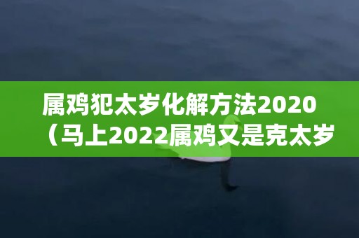 属鸡犯太岁化解方法2020（马上2022属鸡又是克太岁了(化解太岁方法推荐)）