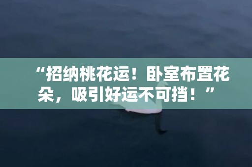 “招纳桃花运！卧室布置花朵，吸引好运不可挡！”