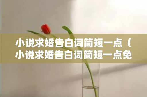 小说求婚告白词简短一点（小说求婚告白词简短一点免费阅读）