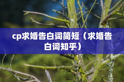 cp求婚告白词简短（求婚告白词知乎）