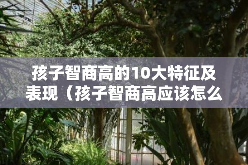 孩子智商高的10大特征及表现（孩子智商高应该怎么办）