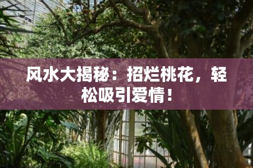 风水大揭秘：招烂桃花，轻松吸引爱情！