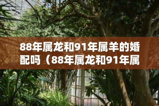 88年属龙和91年属羊的婚配吗（88年属龙和91年属羊的婚姻配吗88年属龙的和91年属羊的配...）