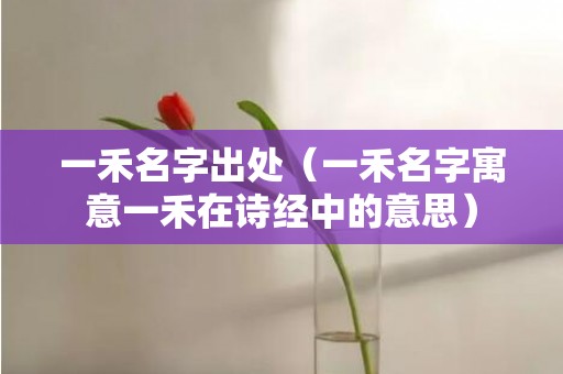 一禾名字出处（一禾名字寓意一禾在诗经中的意思）