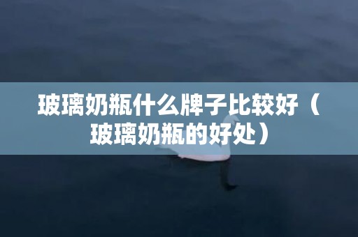 玻璃奶瓶什么牌子比较好（玻璃奶瓶的好处）