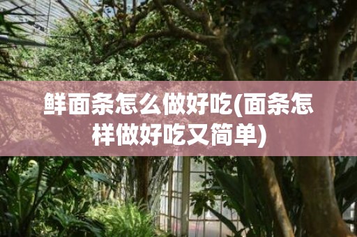 鲜面条怎么做好吃(面条怎样做好吃又简单)