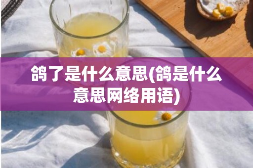 鸽了是什么意思(鸽是什么意思网络用语)