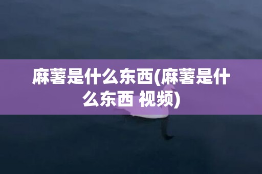 麻薯是什么东西(麻薯是什么东西 视频)