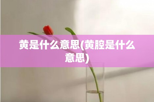 黄是什么意思(黄腔是什么意思)