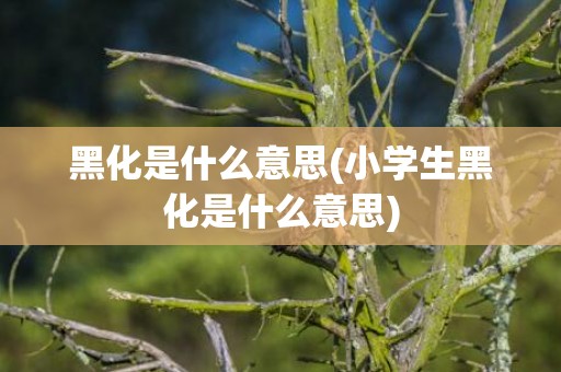 黑化是什么意思(小学生黑化是什么意思)