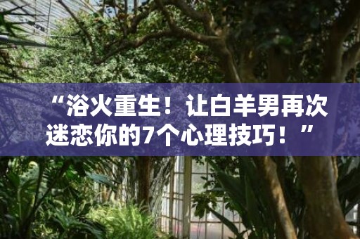 “浴火重生！让白羊男再次迷恋你的7个心理技巧！”