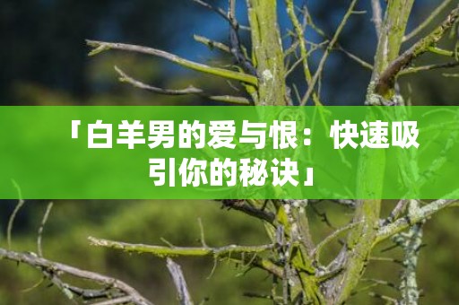 「白羊男的爱与恨：快速吸引你的秘诀」