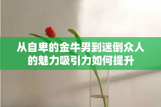 从自卑的金牛男到迷倒众人的魅力吸引力如何提升