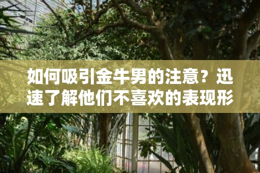 如何吸引金牛男的注意？迅速了解他们不喜欢的表现形式