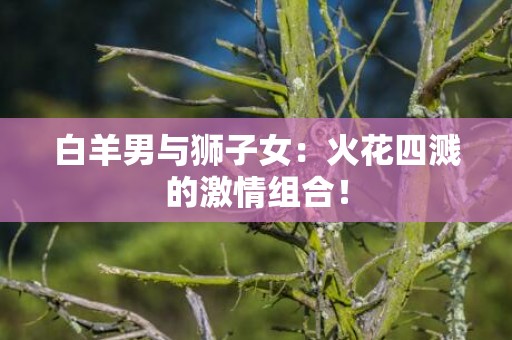 白羊男与狮子女：火花四溅的激情组合！