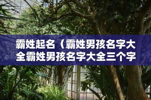 霸姓起名（霸姓男孩名字大全霸姓男孩名字大全三个字）