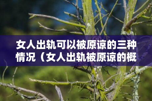 女人出轨可以被原谅的三种情况（女人出轨被原谅的概率有多大）