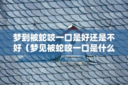 梦到被蛇咬一口是好还是不好（梦见被蛇咬一口是什么意思梦到被蛇咬一口是什么意思）