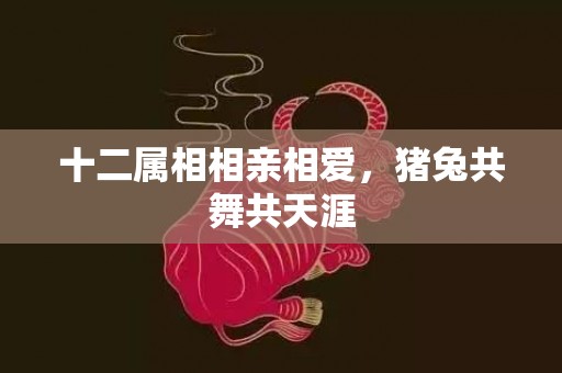 十二属相相亲相爱，猪兔共舞共天涯