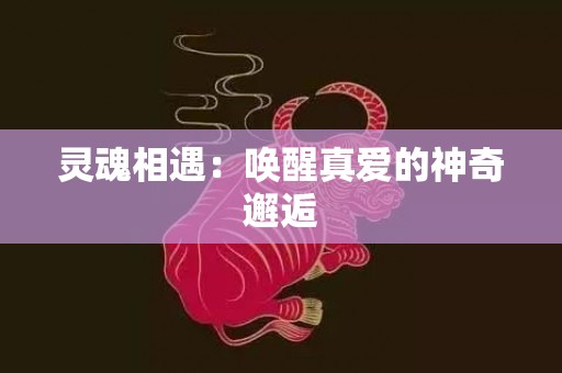 灵魂相遇：唤醒真爱的神奇邂逅