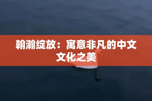 翰瀚绽放：寓意非凡的中文文化之美