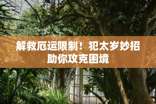 解救厄运限制！犯太岁妙招助你攻克困境