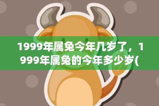 1999年属兔今年几岁了，1999年属兔的今年多少岁(1999年属兔今年考研运势)