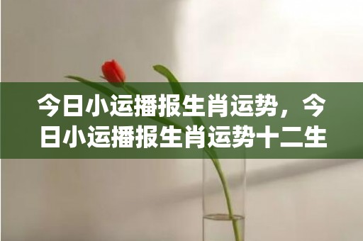 今日小运播报生肖运势，今日小运播报生肖运势十二生肖华易网(今日小运播报生肖运势)