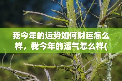 我今年的运势如何财运怎么样，我今年的运气怎么样(77年今年的运势如何)