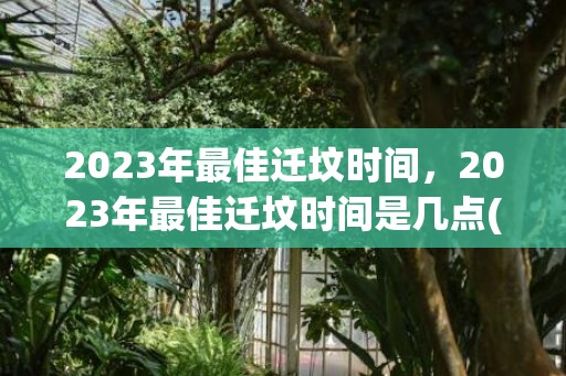 2023年最佳迁坟时间，2023年最佳迁坟时间是几点(2023年6月迁坟最佳日期)