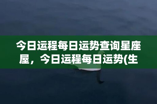 今日运程每日运势查询星座屋，今日运程每日运势(生肖狗今日运程每日运势)