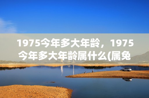 1975今年多大年龄，1975今年多大年龄属什么(属兔1975今年多大)