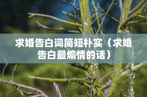 求婚告白词简短朴实（求婚告白最煽情的话）