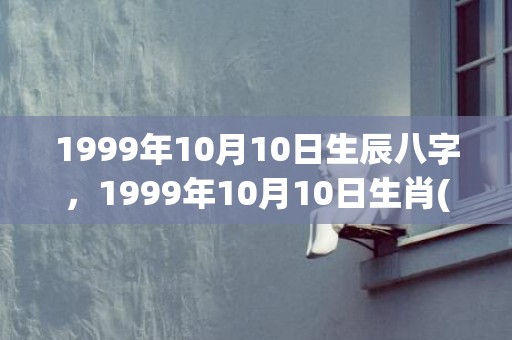 1999年10月10日生辰八字，1999年10月10日生肖(1999年10月15日生辰八字)