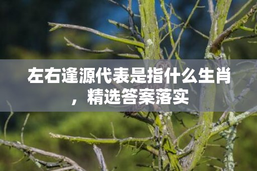 左右逢源代表是指什么生肖，精选答案落实