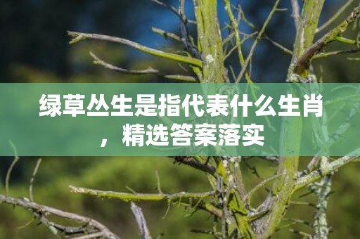 绿草丛生是指代表什么生肖，精选答案落实