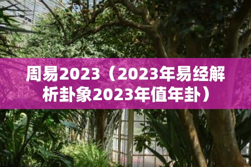 周易2023（2023年易经解析卦象2023年值年卦）