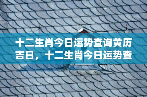 十二生肖今日运势查询黄历吉日，十二生肖今日运势查询卜易(十二生肖今日运势查询水墨先生)