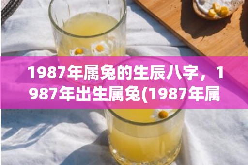 1987年属兔的生辰八字，1987年出生属兔(1987年属兔的幸运数字)