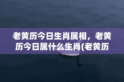 老黄历今日生肖属相，老黄历今日属什么生肖(老黄历今日生肖是什么意思)