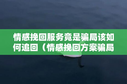 情感挽回服务竟是骗局该如何追回（情感挽回方案骗局）