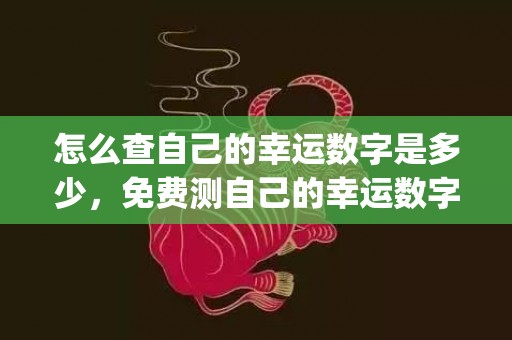 怎么查自己的幸运数字是多少，免费测自己的幸运数字(怎么查自己的幸运数字)