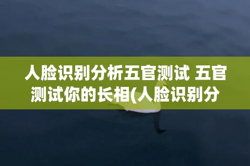 人脸识别分析五官测试 五官测试你的长相(人脸识别分析五官测试软件)