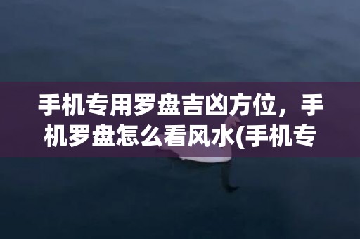 手机专用罗盘吉凶方位，手机罗盘怎么看风水(手机专用罗盘下载安装)