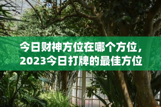 今日财神方位在哪个方位，2023今日打牌的最佳方位(今日财神方位在哪个方位打牌)