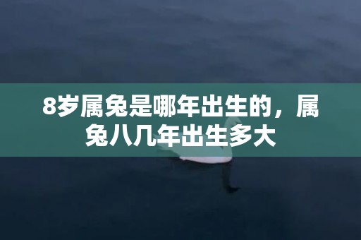 8岁属兔是哪年出生的，属兔八几年出生多大