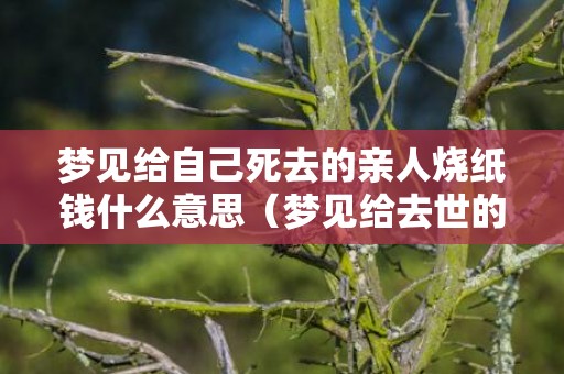 梦见给自己死去的亲人烧纸钱什么意思（梦见给去世的亲人烧纸是什么意思做梦梦见给死去的亲人烧...）