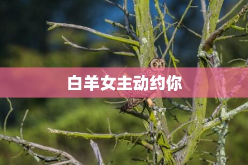 白羊女主动约你