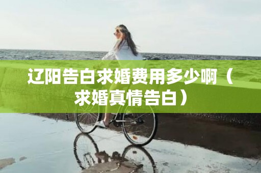 辽阳告白求婚费用多少啊（求婚真情告白）