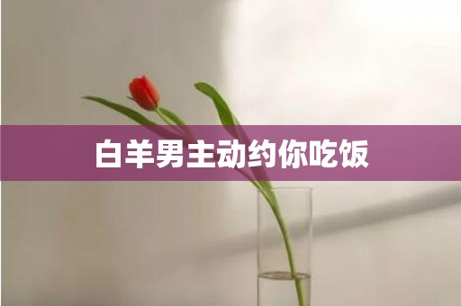 白羊男主动约你吃饭